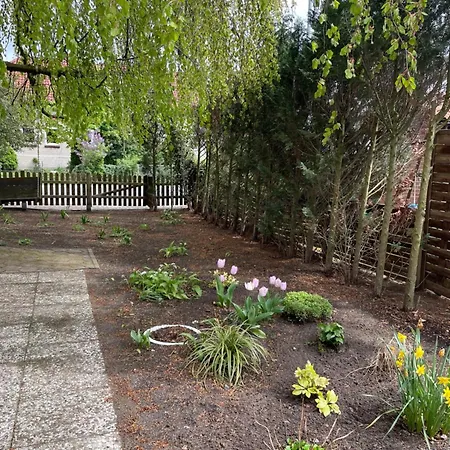 شقة Oldaus Nestchen