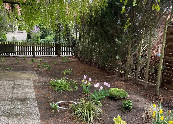 Апартаменты Oldaus Nestchen